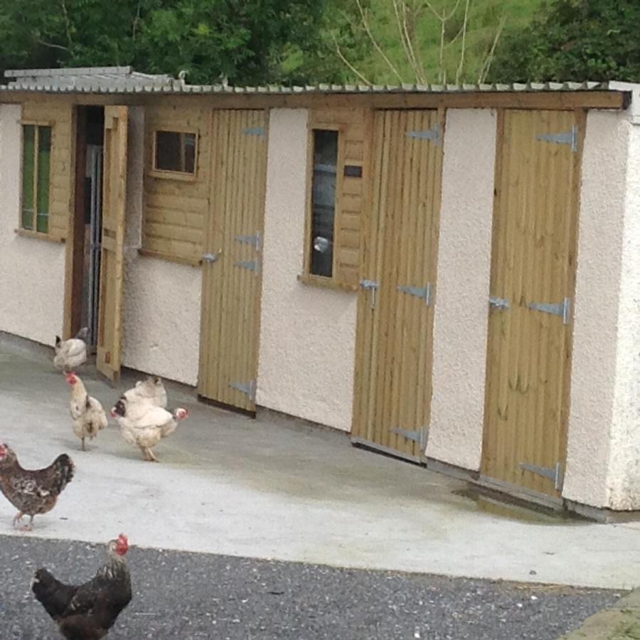 The Little Cow Shed Villa Swansea Bagian luar foto