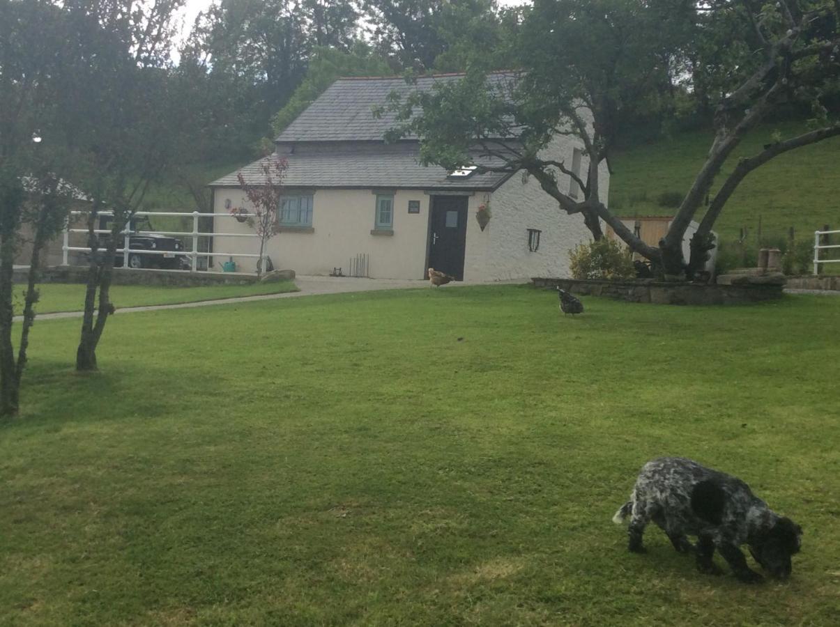 The Little Cow Shed Villa Swansea Bagian luar foto
