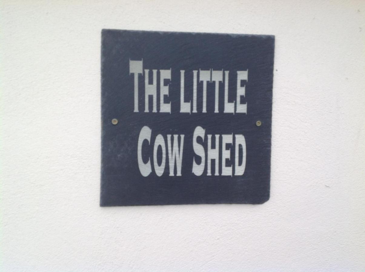 The Little Cow Shed Villa Swansea Bagian luar foto
